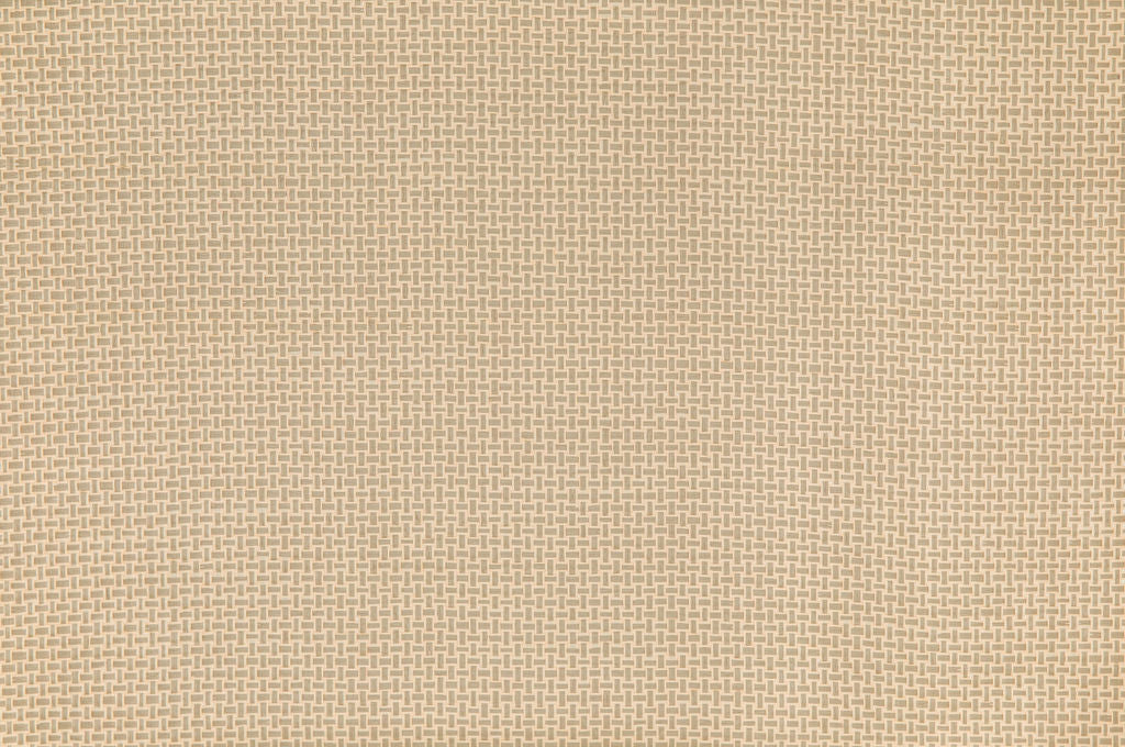 Campos Weaves 23