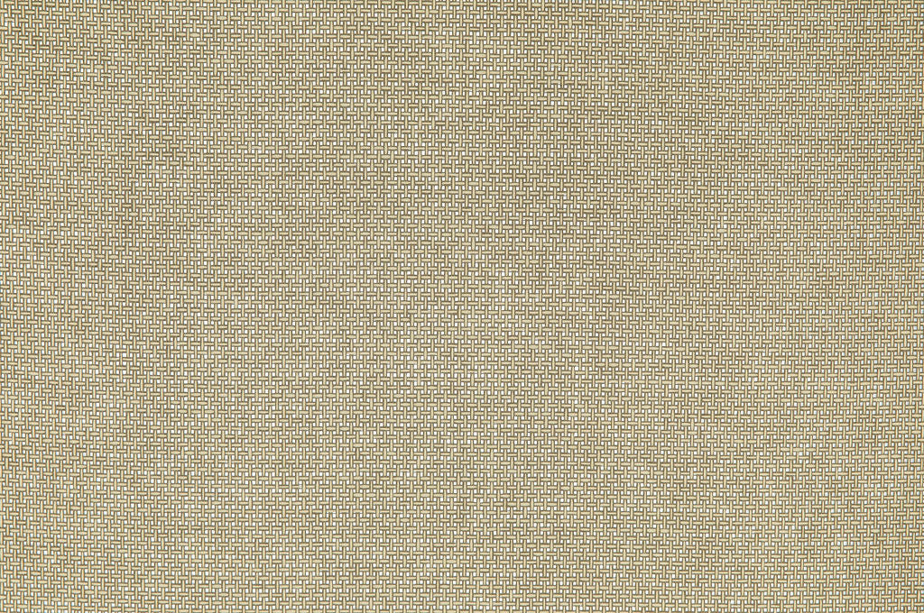Campos Weaves 25