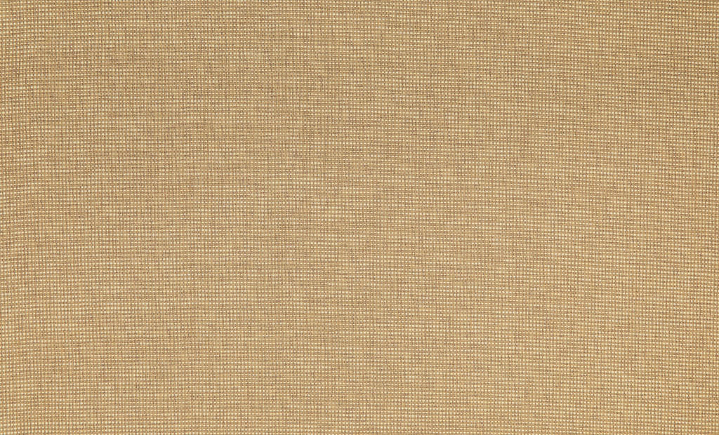 Campos Weaves 26