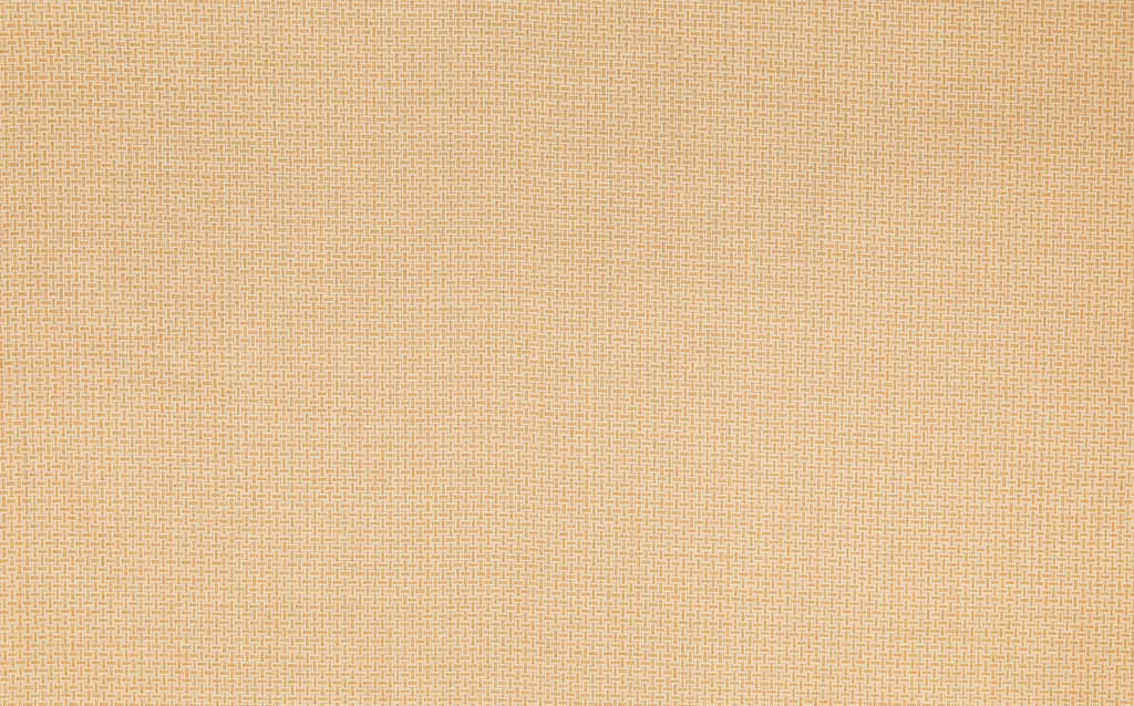 Campos Weaves 28