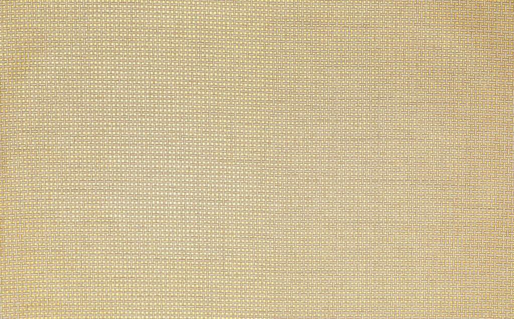 Campos Weaves 06