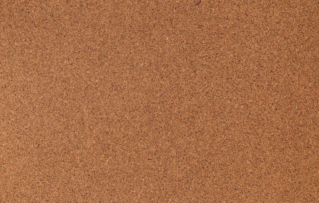 Quercus 05