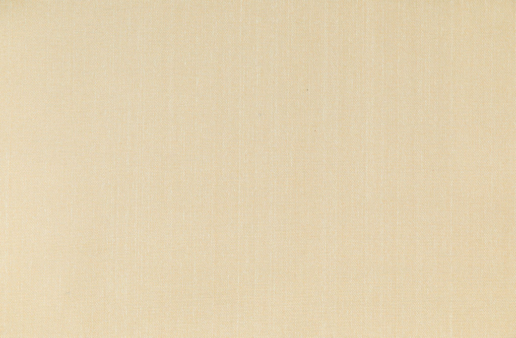 Savanna 02