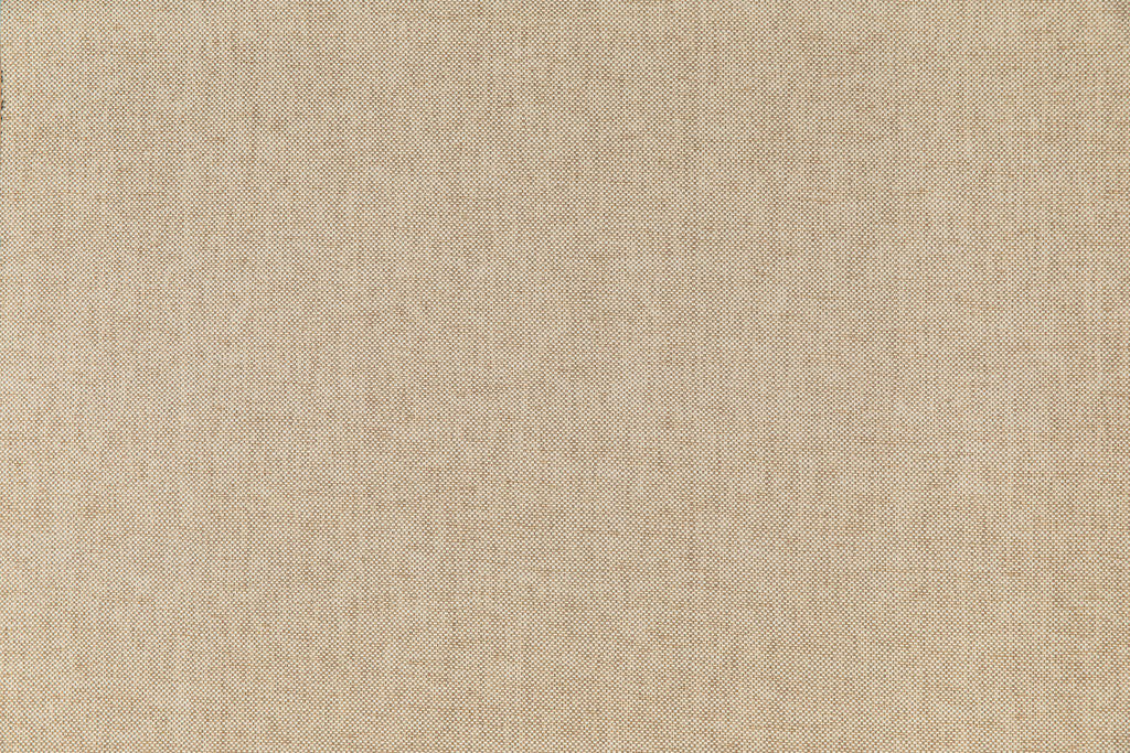 Savanna 04