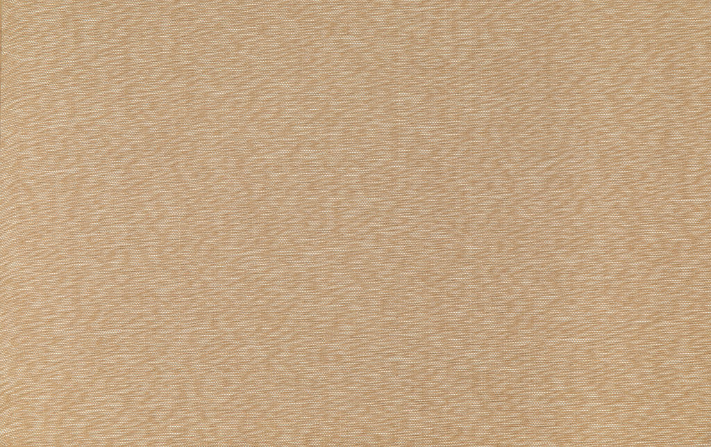 Savanna 06