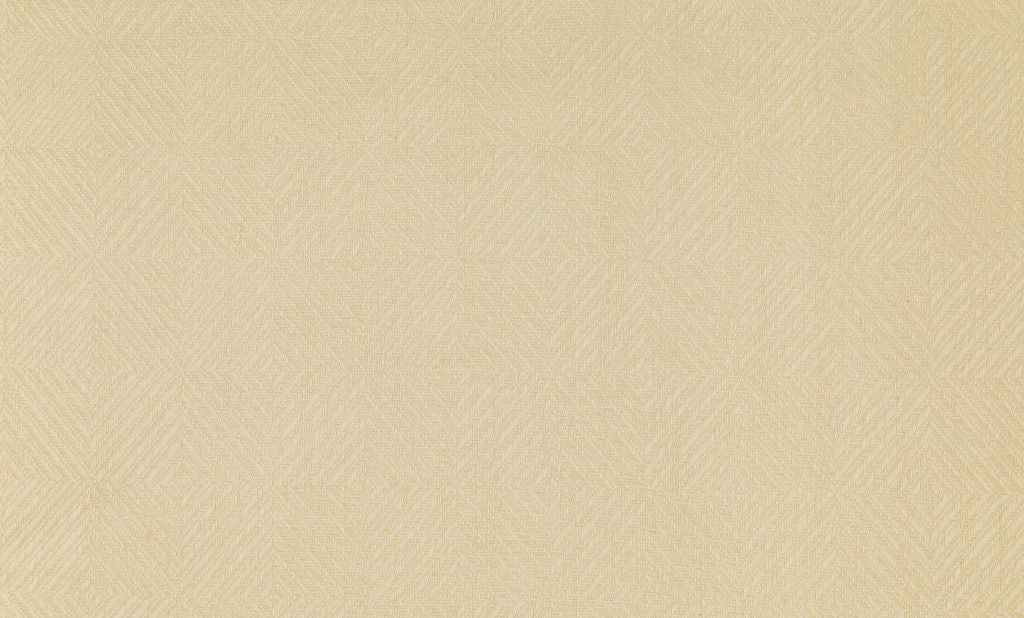 Savanna 08