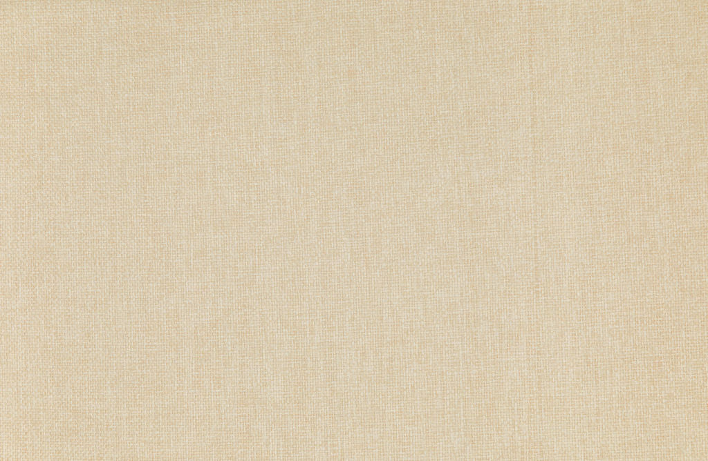 Savanna 09