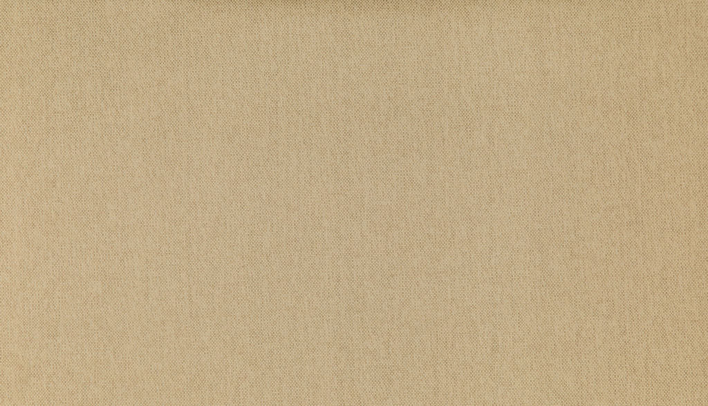 Savanna 10