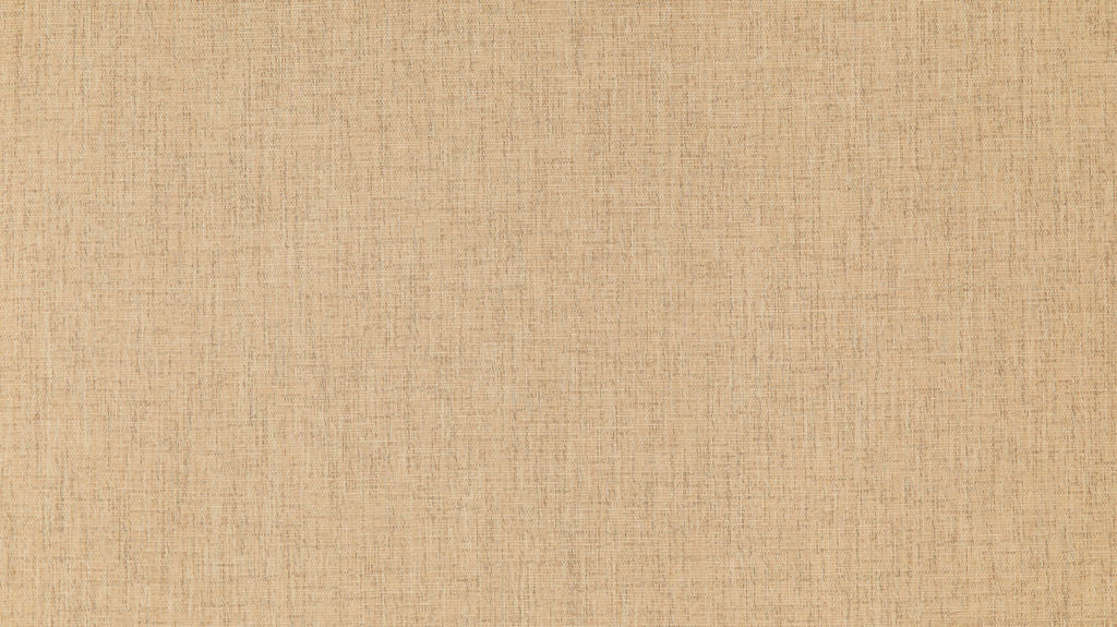 Savanna 11