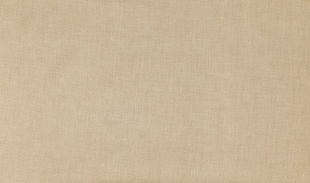 Savanna 12