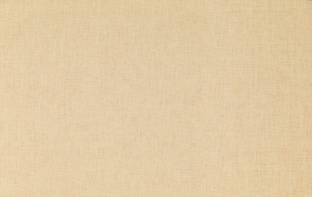 Savanna 14