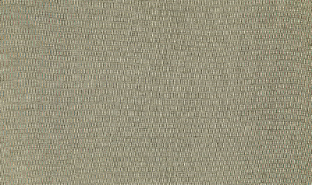 Savanna 17