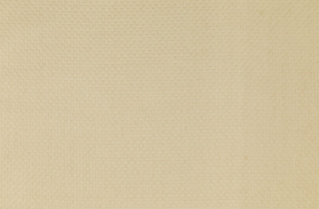 Savanna 18