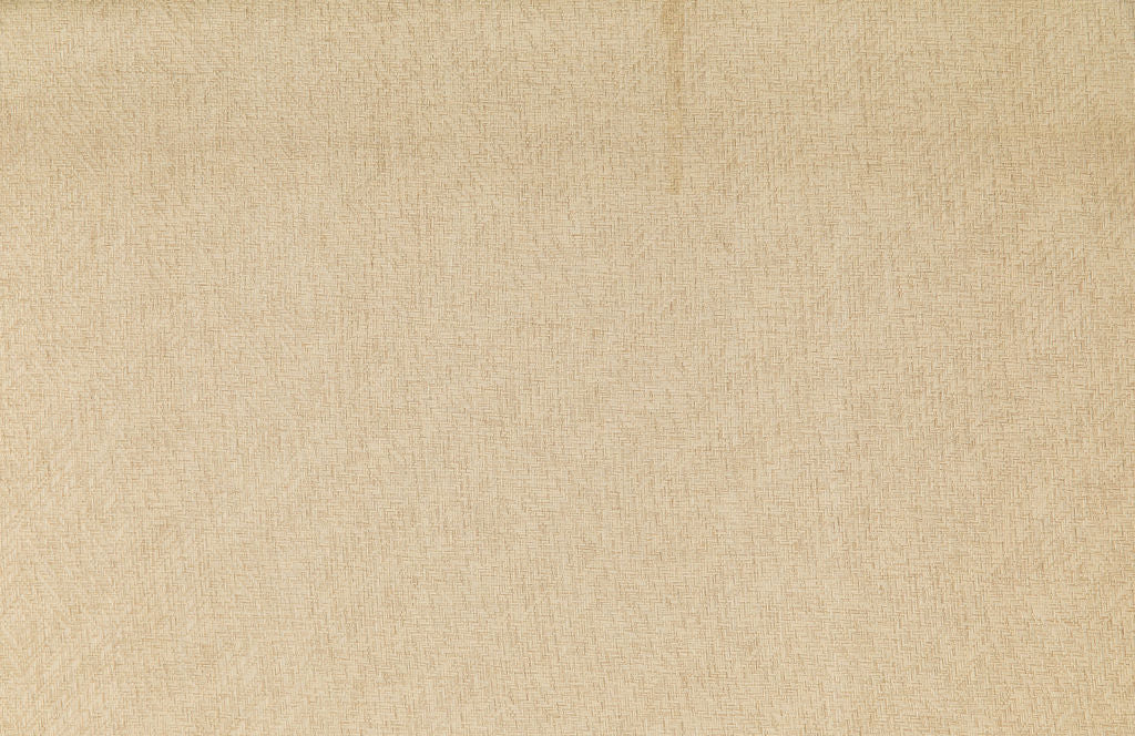 Savanna 20