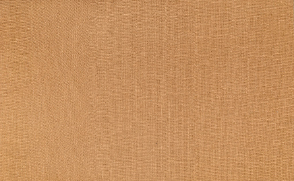 Savanna 29